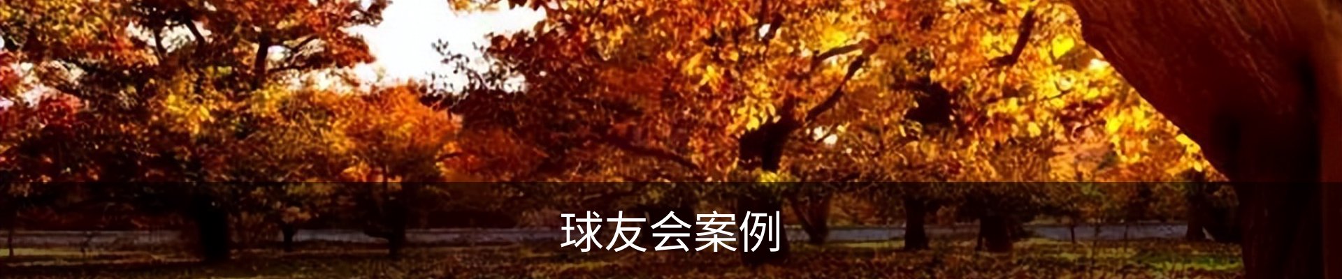 球友会案例